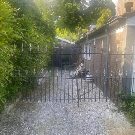 The House