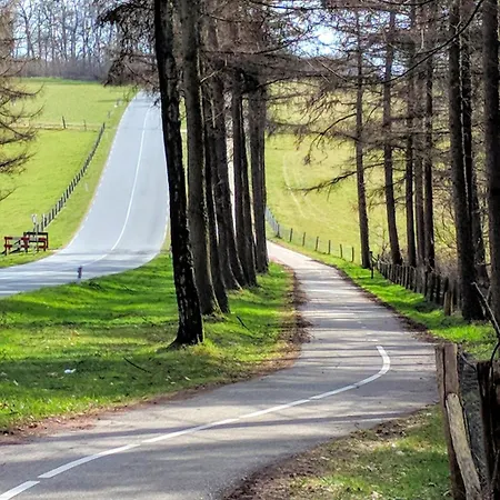 The House * Грусбек