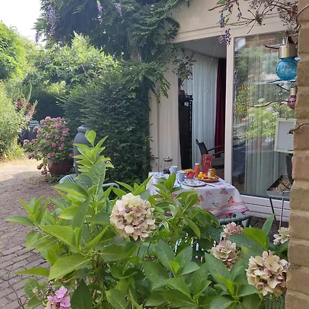 The House