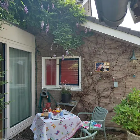 The House גרושבק