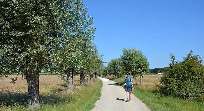Apartment The House Groesbeek