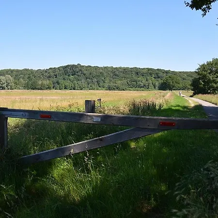 The House 格罗斯必克